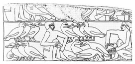 File source: https://commons.wikimedia.org/wiki/File:Egyptiangeesefeeding.jpg